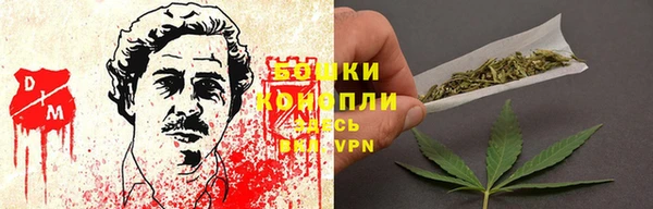 spice Белокуриха