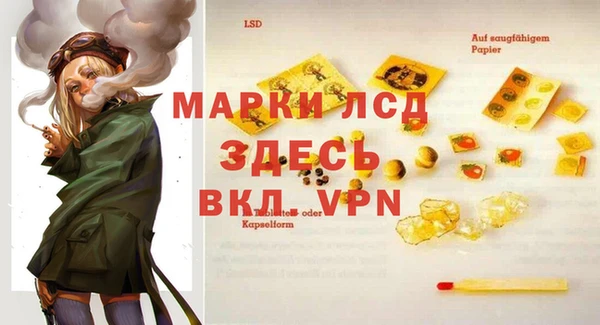 spice Белокуриха